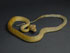 Moluccan Python