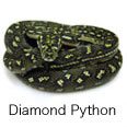 Diamond Python