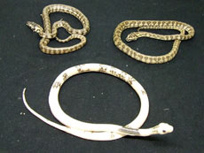 2007 HATCHING RESURT