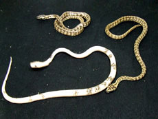 2007 HATCHING RESURT