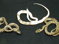 2007 HATCHING RESURT