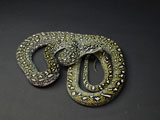 2006 Europian CB DWARF Diamond Python